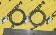 Сальник кронштейна тормозных колодок 41х55х9 SITRAK T5G WG9761349008